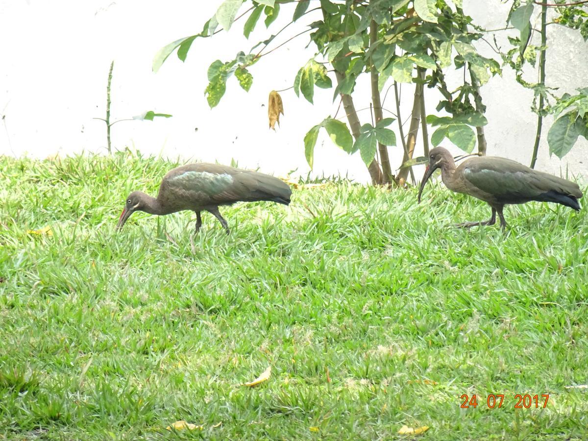 Kivu Beach Garden Gisenyi Buitenkant foto